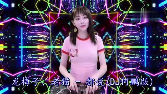 网络热歌《都说》DJ何鹏版,龙梅子,老猫演唱