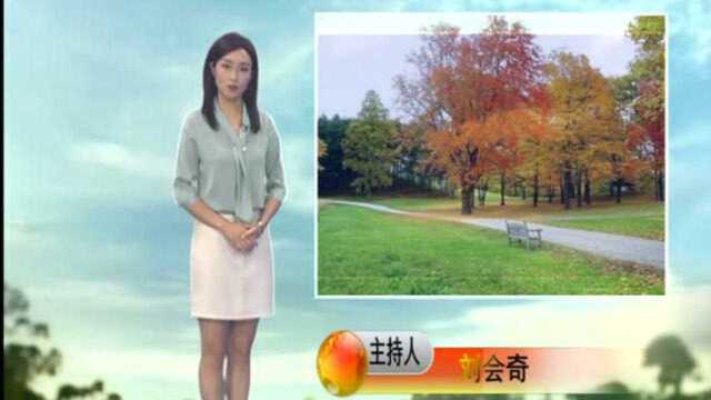 青龙天气预报