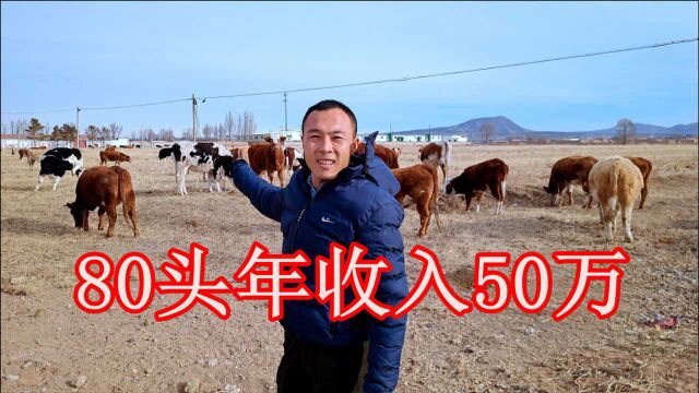 投资200万养这种大型动物,80头年收入50万,大家看看风险高不高