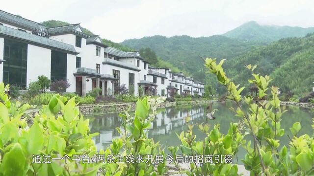 龙岩市新罗区万安镇:互联网+农业催生经济发展新动能