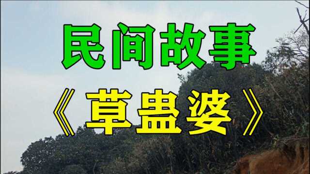 民间故事《草蛊婆》我出生于广西的苗家寨