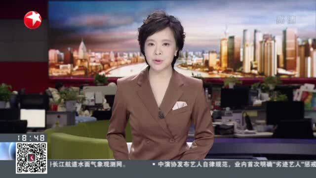 浦东警方:捣毁“网络刷单产业链” 抓获40名犯罪嫌疑人