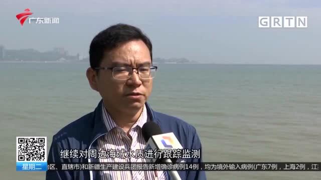 珠海:多处海域出现赤潮现象