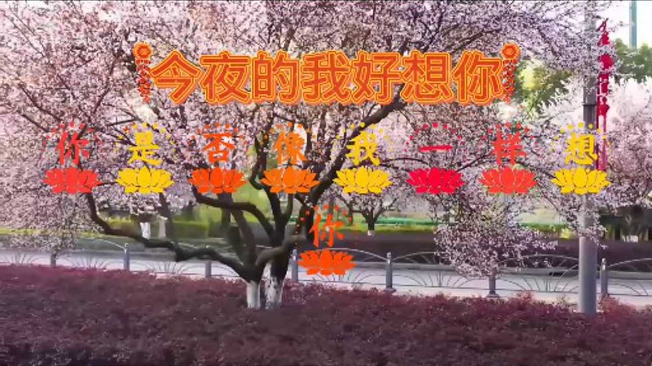 好听歌曲《今夜的我好想你》 腾讯视频