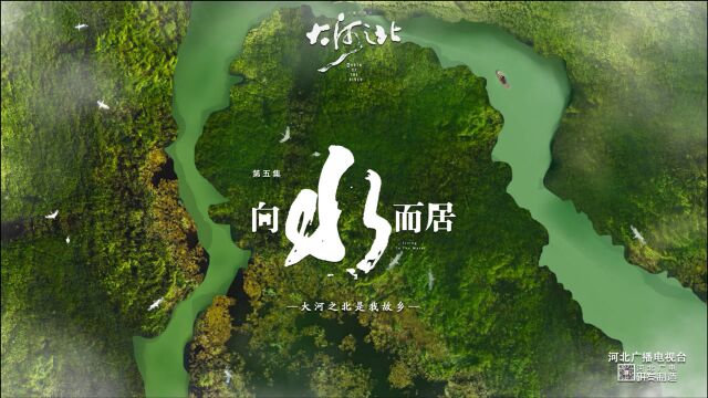 《大河之北》第五集《向水而居》完整视频