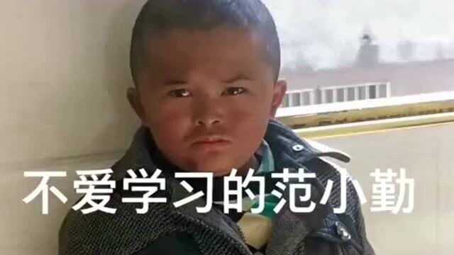 不爱学习的“小马云”,范小勤没有了利用价值,就被公司给解除合约了!