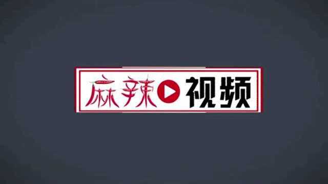 电车起火终成历史,广汽“弹匣电池”一举攻破三元锂电池安全难题