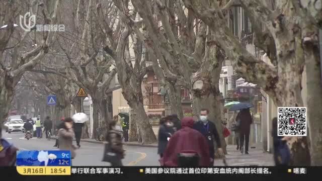 南昌路:老建筑修旧如旧 金属扶手栏杆引争议