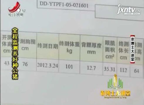 对种公猪进行全程监测 来饲养处好的种公猪 具体方法如下