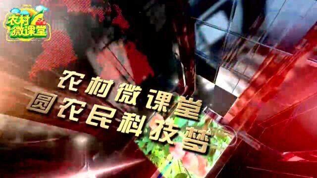 3.26《革命老区是党和人民军队的根》