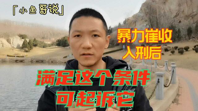 暴力崔收入刑后:满足这个条件,就可以维权