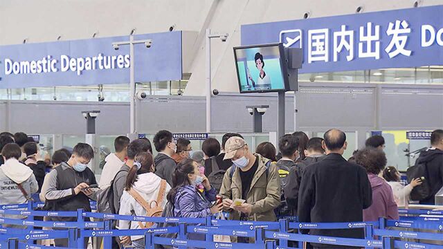 国内客流已超2019年!浦东机场航班量全面恢复