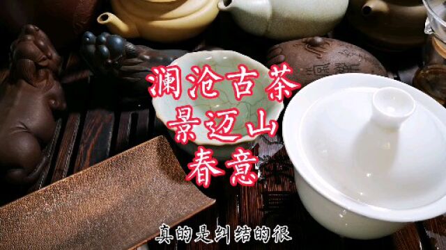 春意在澜沧古茶家算什么档次 存放多年能当排面茶招待好朋友不