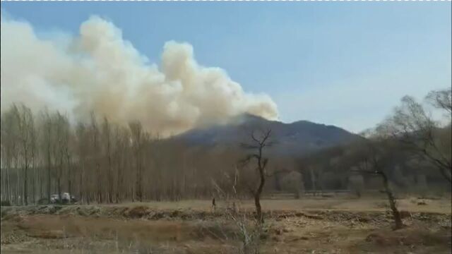 《乡村爱情》拍摄地铁岭象牙山发生山火,目击者:离开时已无浓烟