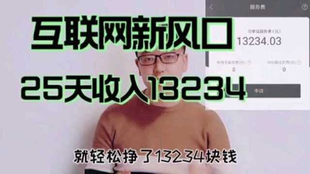 网络新风口,看懂趋势,25天收入13234元