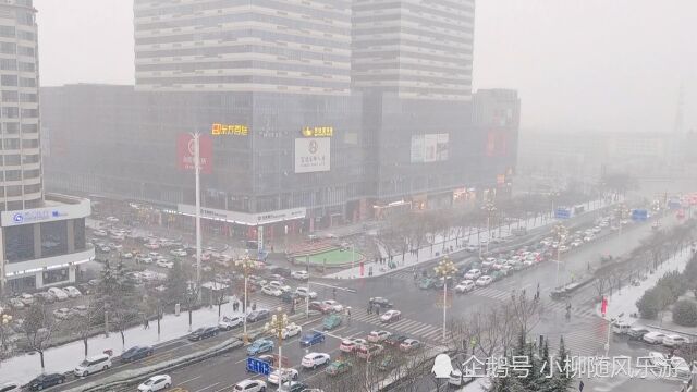 甘肃庆阳西峰:2021年的第一场雪,下的好认真,就是有点迟