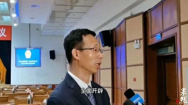 果然视频|槐荫代理区长孙常建:2021年槐荫将开辟五大主战场