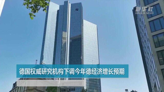 德国权威研究机构下调今年德经济增长预期