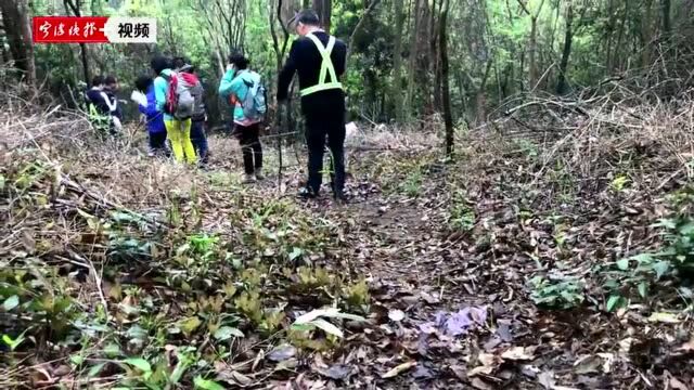 “我们愿为天童古道贡献力量!”甬城部分高校组团报名,相约“手作步道”