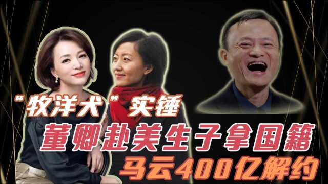 中国反戈一击,董卿“东窗事发”藏不住,马云一决定让美损失万亿