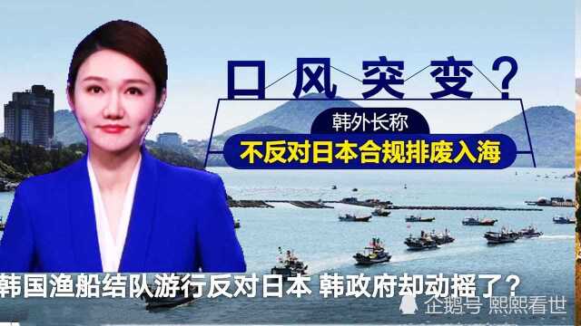 亮灯挂旗场面壮观 韩国“渔船大军”抗议日本排污入海?