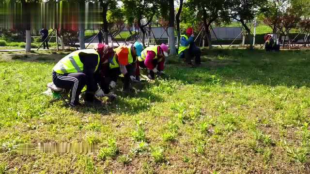 这就是淄博| 45个项目6月底前全面开工 淄川区为全域公园城市建设赋能加力