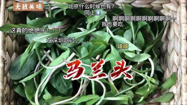 春天你不可错过的野菜~马兰头