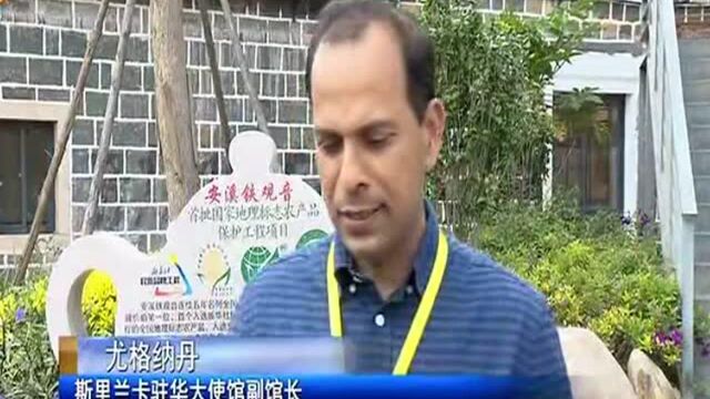 驻华外交官走进“中国乌龙茶之乡”参加开茶节