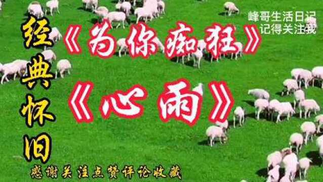 推荐经典歌曲《为你痴狂》《心雨》推荐听听.