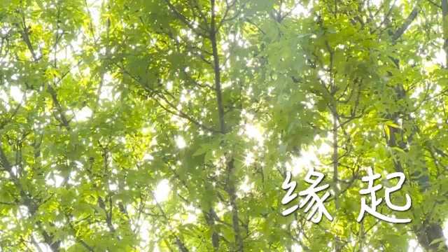 缘起(作者:吉富文、焦玥、刘国凤、曲志逍、于希)