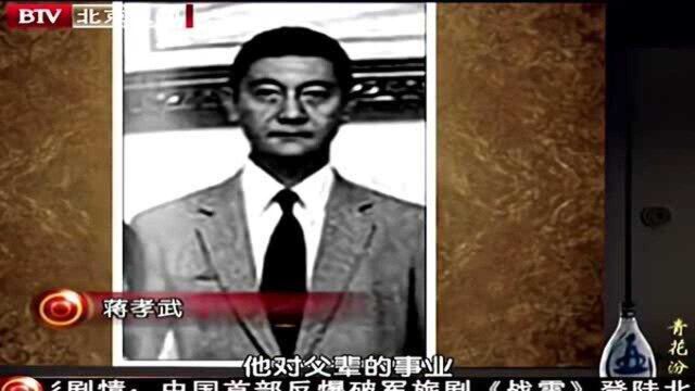 江南案幕后真正主谋是蒋孝武?“白狼”接受采访时一番话语出惊人