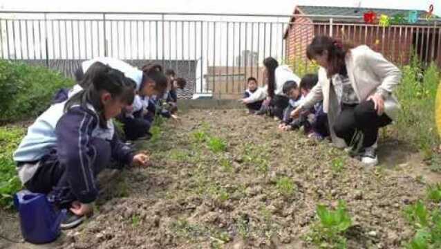 【追光震川】唱响校歌献礼建党百年