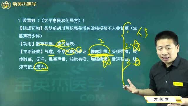 中医核心考点全攻略04方剂学02解表剂03扶正解表剂01败毒