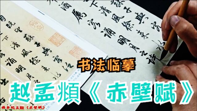 赵孟頫行书《赤壁赋》,用笔娴熟、精湛一览无余,值得好好学习