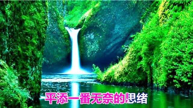 一首怀旧情歌《无奈的思绪》