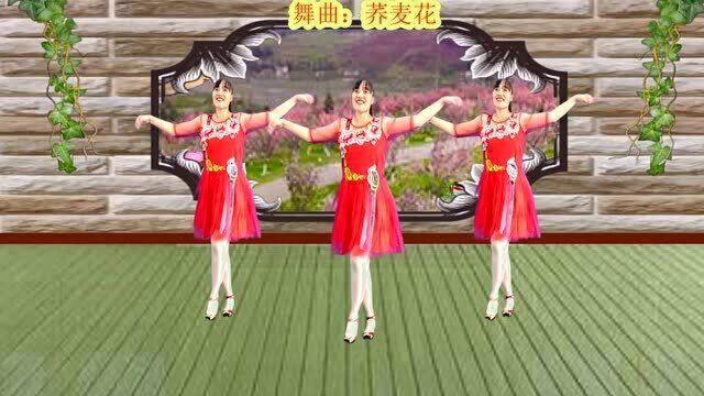 唯美舞曲《荞麦花》歌声醉人,柔情好看,魅力至极