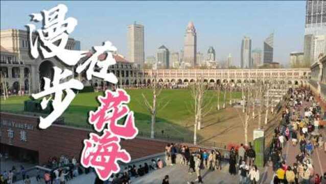 清明长假漫步在天津五大道的花海中,先农大院中有一株黄色玉兰花