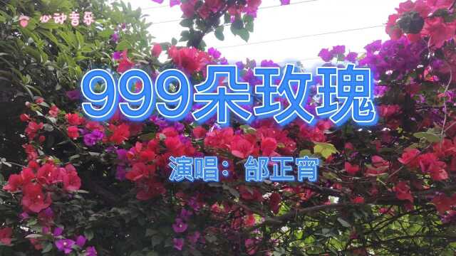 经典怀旧歌曲《999朵玫瑰》那些年红遍大街小巷