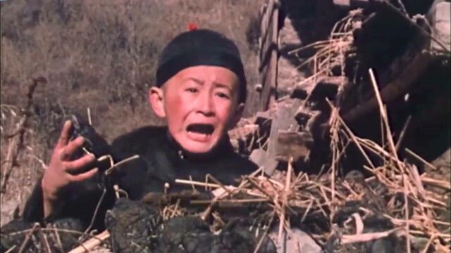 38年后《自古英雄出少年》演员今昔照,高手云集熊长贵比李连杰还帅!