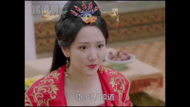 丽贵妃再次设局陷害莫婉