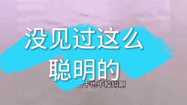 搞笑使我快乐