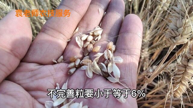 今年小麦最新收购价格已经发布,国家保护价和企业收购价都比去年涨了