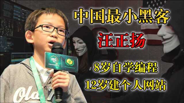 中国最小黑客汪正扬:8岁自学编程,12岁建网站,如今怎么样了?