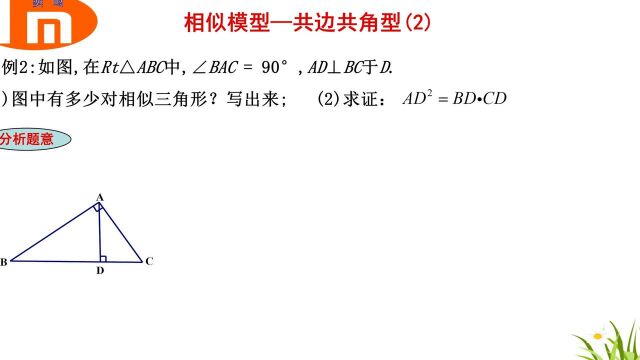 相似模型—共边共角型(2),初中数学复习重点,中考数学真题讲解.