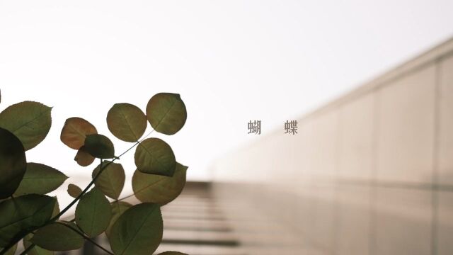 王菲《蝴蝶》| cover