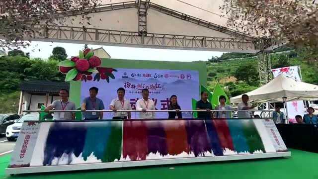 杨梅节开幕,溧水石湫布局乡村生态游新玩法