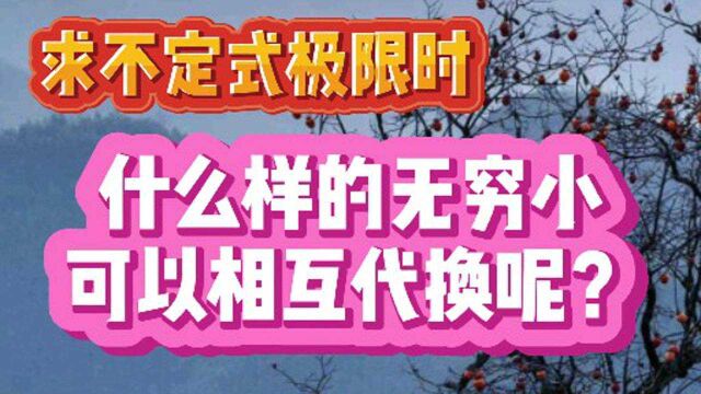 求不定式极限时,什么样的无穷小可以相互代换呢?