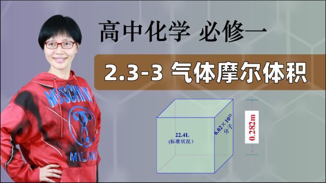 【气体摩尔体积】高中化学 必修一 第二章 海水中的重要元素——钠和氯 2.33