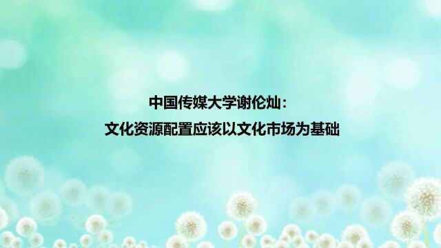 中传谢伦灿:文化资源配置应该以文化市场为基础