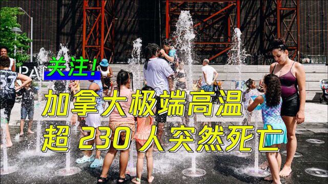 热浪侵袭加拿大,25日至28日超230人突然死亡!